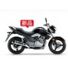 骊驰GW250