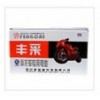 丰采摩托车电池