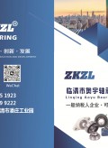 临清奥宇轴承有限公司 (9)
